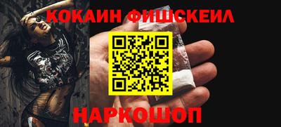 индика Сланцы