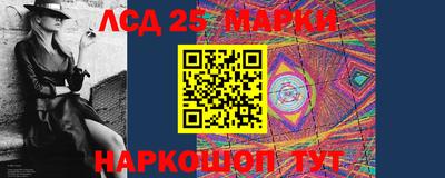 индика Сланцы