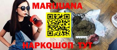 индика Сланцы