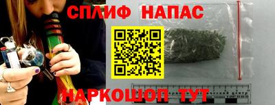 СК Ставрополь