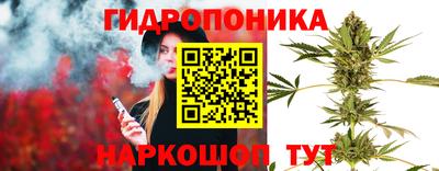 индика Сланцы