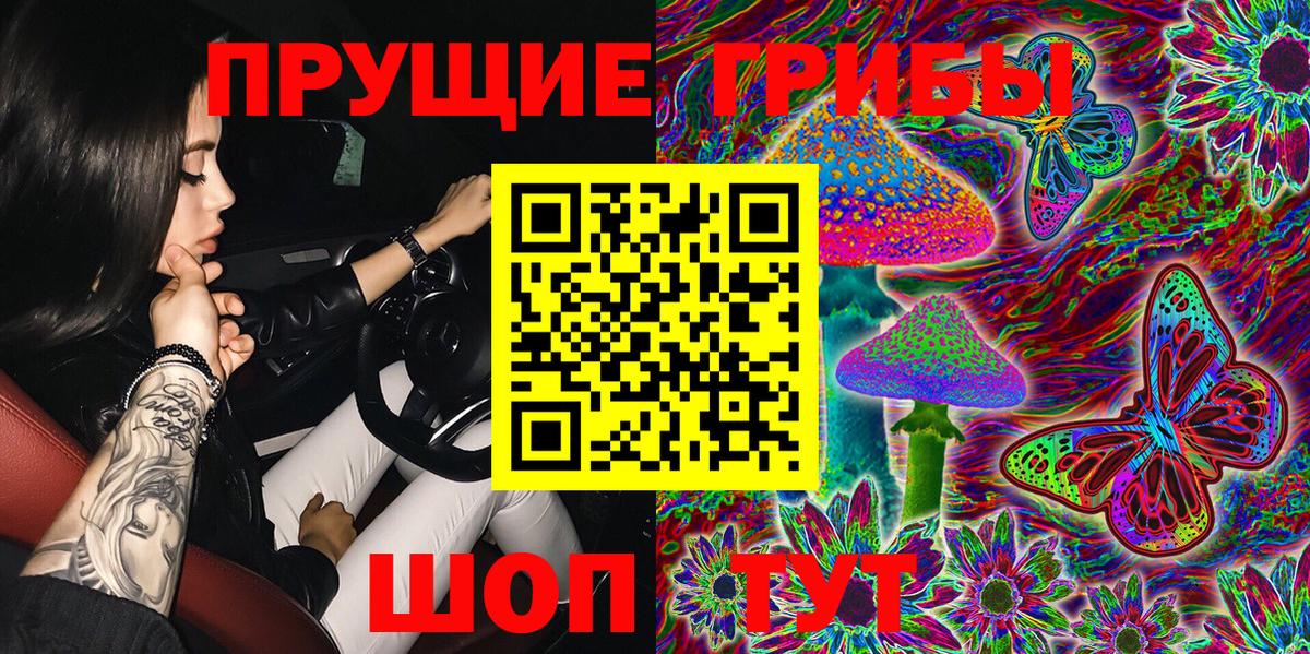 Псилоцибиновые грибы прущие грибы  купить наркотик  Нижний Новгород  Псилоцибиновые грибы Psilocybine cubensis  Вход с VPN 