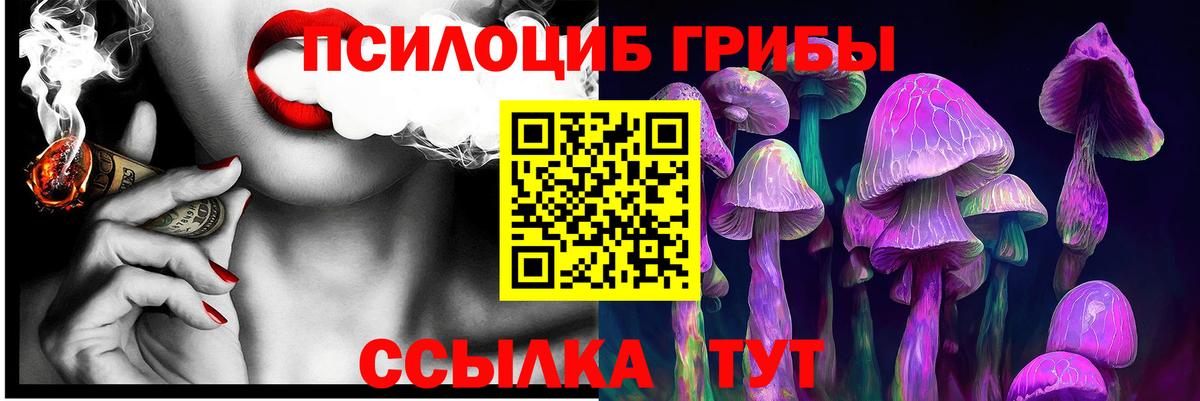 Псилоцибиновые грибы Psilocybine cubensis Нижний Новгород